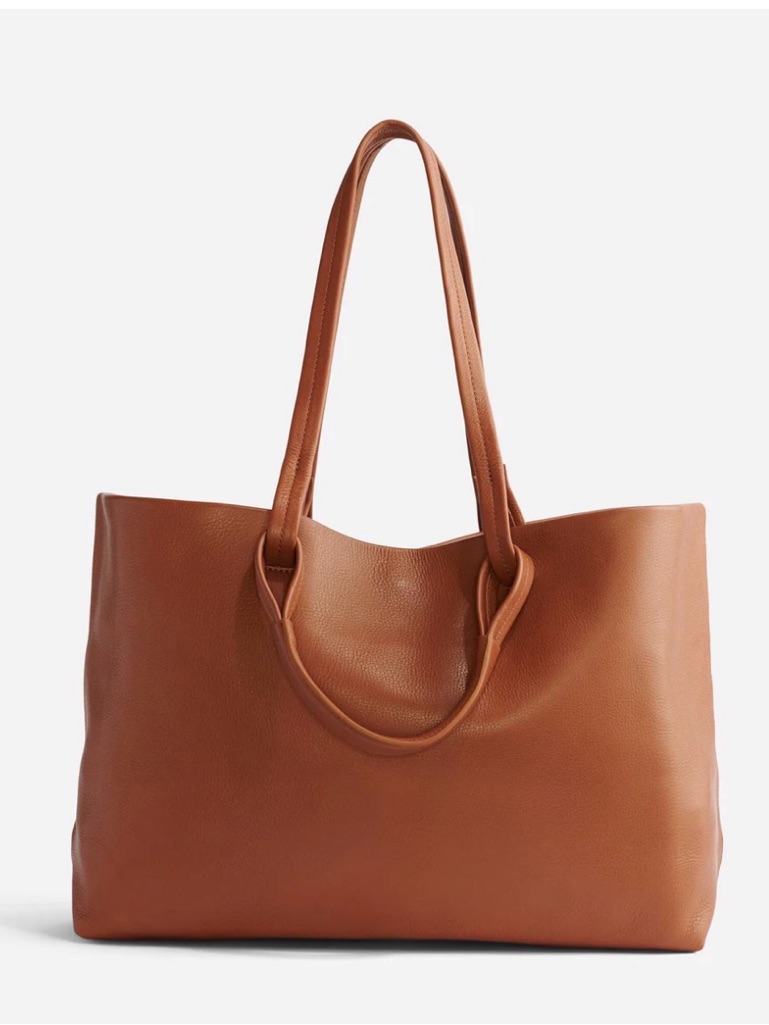 Nisolo Camilia Everyday Tote In Plum